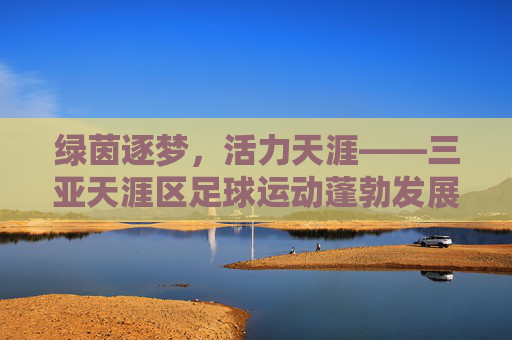绿茵逐梦,活力天涯——三亚天涯区足球运动蓬勃发展纪实