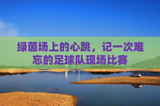 绿茵场上的心跳,记一次难忘的足球队现场比赛