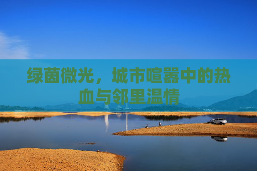 绿茵微光,城市喧嚣中的热血与邻里温情