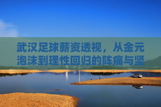武汉足球薪资透视,从金元泡沫到理性回归的阵痛与坚守
