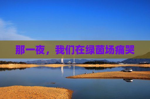 那一夜，我们在绿茵场痛哭