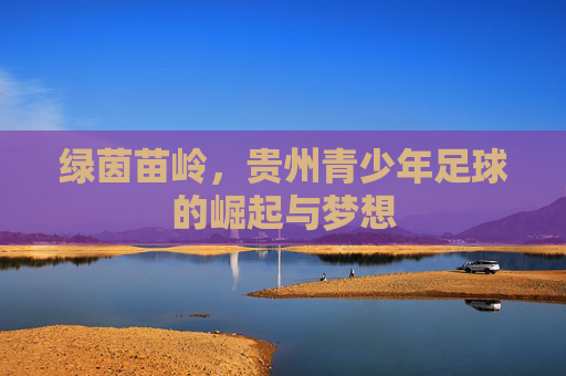 绿茵苗岭,贵州青少年足球的崛起与梦想