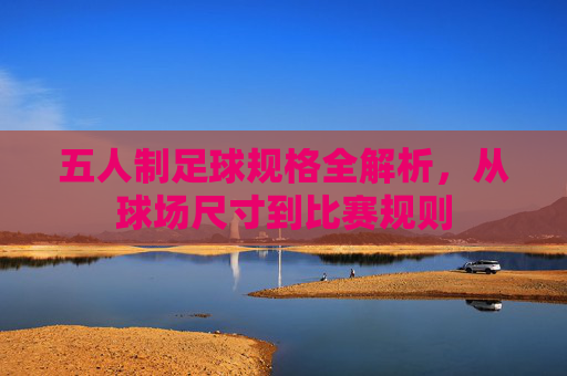 五人制足球规格全解析,从球场尺寸到比赛规则