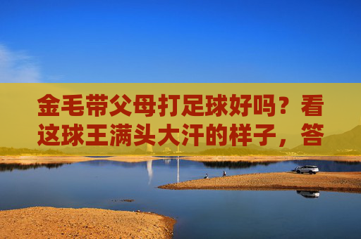 金毛带父母打足球好吗?看这球王满头大汗的样子,答案太暖心了