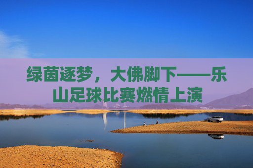 绿茵逐梦，大佛脚下——乐山足球比赛燃情上演