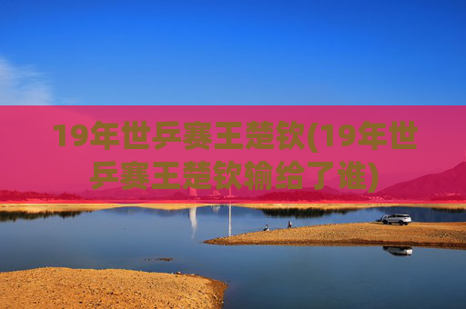 19年世乒赛王楚钦(19年世乒赛王楚钦输给了谁)