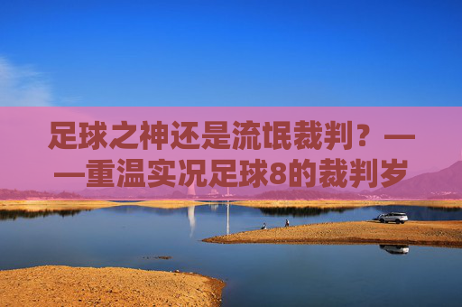 足球之神还是流氓裁判?——重温实况足球8的裁判岁月