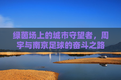 绿茵场上的城市守望者,周宇与南京足球的奋斗之路