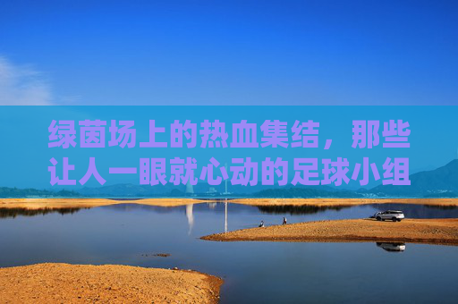 绿茵场上的热血集结,那些让人一眼就心动的足球小组名字
