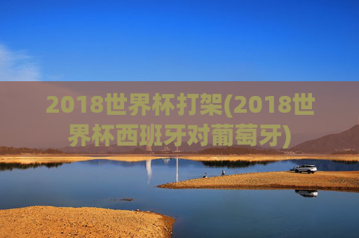 2018世界杯打架(2018世界杯西班牙对葡萄牙)
