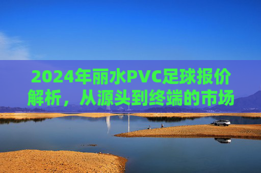 2024年丽水PVC足球报价解析,从源头到终端的市场行情