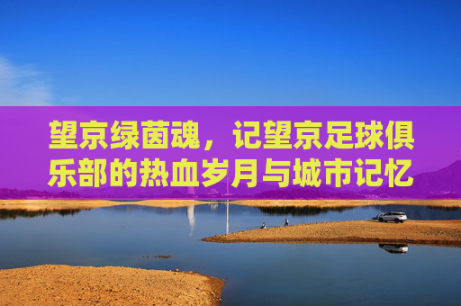 望京绿茵魂,记望京足球俱乐部的热血岁月与城市记忆