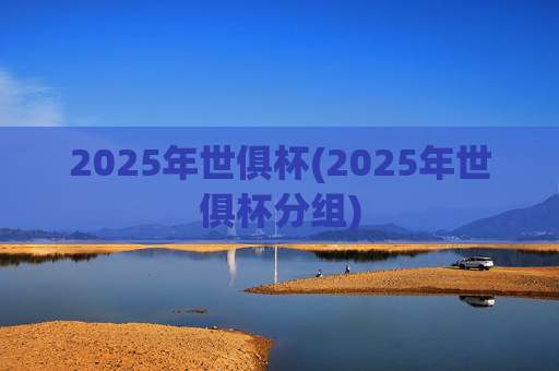 2025年世俱杯(2025年世俱杯分组)