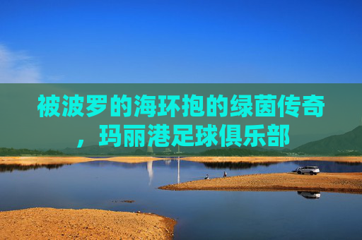 被波罗的海环抱的绿茵传奇,玛丽港足球俱乐部