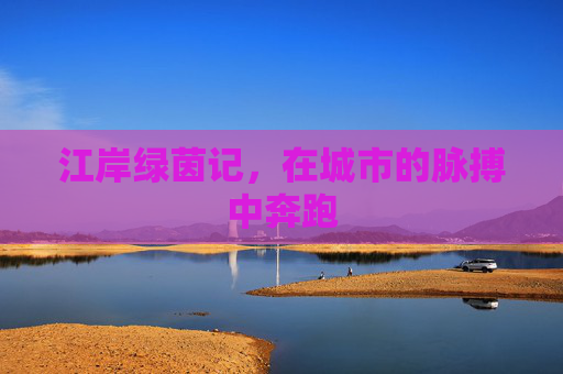 江岸绿茵记，在城市的脉搏中奔跑