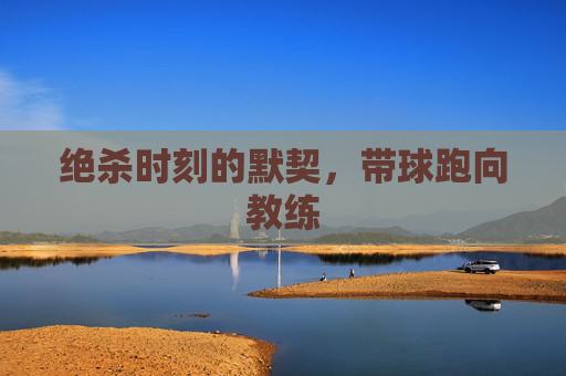 绝杀时刻的默契，带球跑向教练
