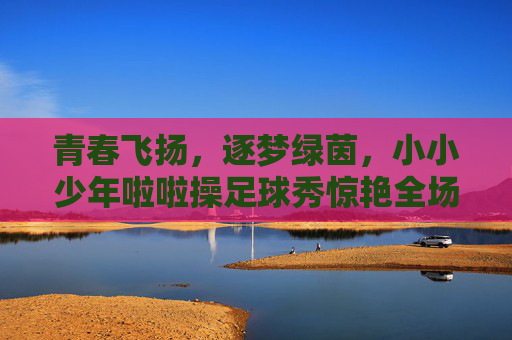 青春飞扬,逐梦绿茵,小小少年啦啦操足球秀惊艳全场