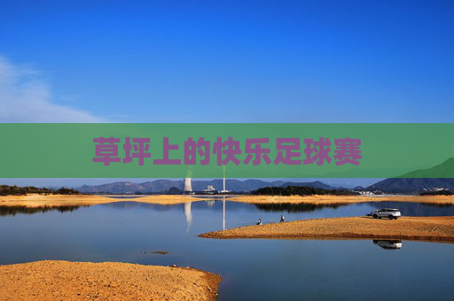草坪上的快乐足球赛