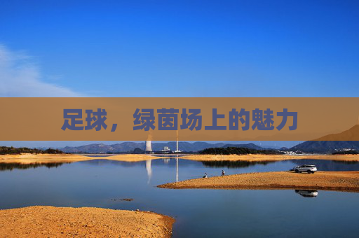 足球,绿茵场上的魅力