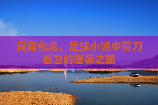 高塔化龙，足球小说中带刀后卫的逆袭之路