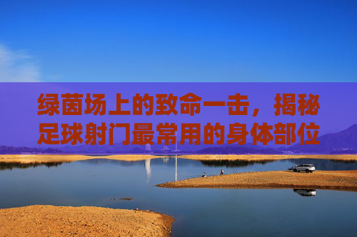绿茵场上的致命一击,揭秘足球射门最常用的身体部位