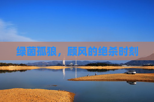 绿茵孤狼，顾风的绝杀时刻