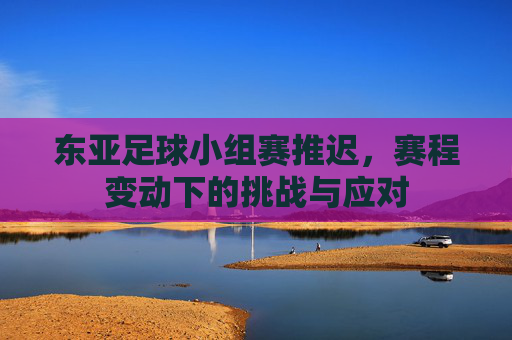 东亚足球小组赛推迟,赛程变动下的挑战与应对
