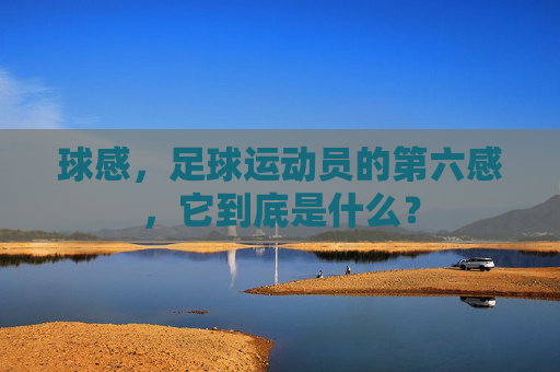 球感,足球运动员的第六感,它到底是什么?