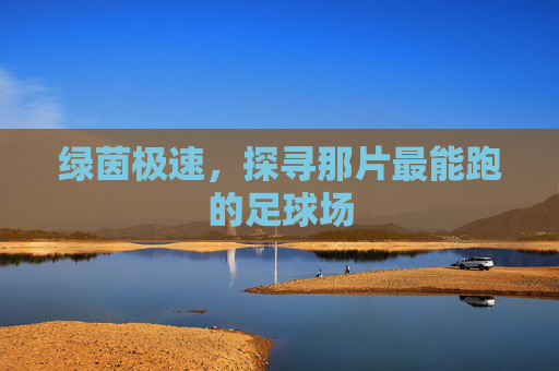 绿茵极速,探寻那片最能跑的足球场