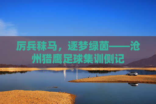 厉兵秣马,逐梦绿茵——沧州猎鹰足球集训侧记