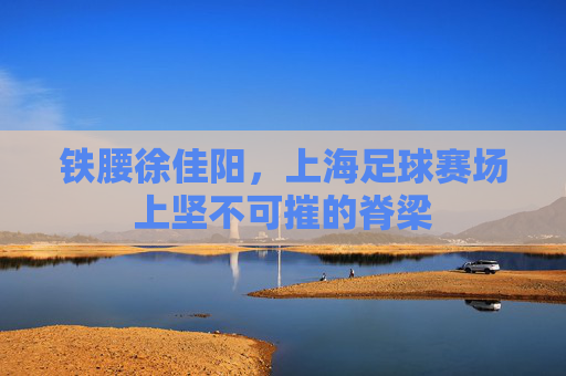 铁腰徐佳阳,上海足球赛场上坚不可摧的脊梁