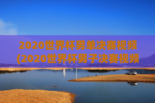 2020世界杯男单决赛视频(2020世界杯男子决赛视频)