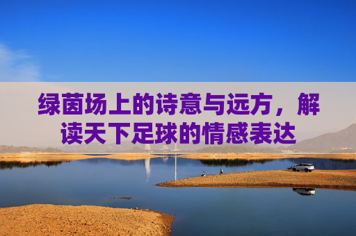 绿茵场上的诗意与远方,解读天下足球的情感表达