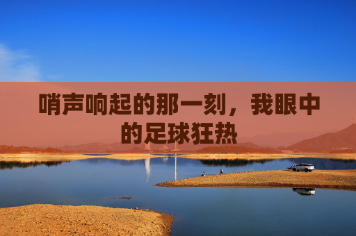 哨声响起的那一刻,我眼中的足球狂热
