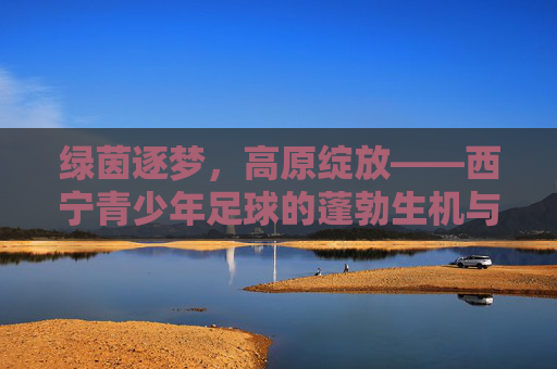绿茵逐梦,高原绽放——西宁青少年足球的蓬勃生机与未来展望