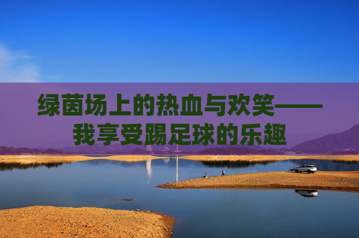 绿茵场上的热血与欢笑——我享受踢足球的乐趣