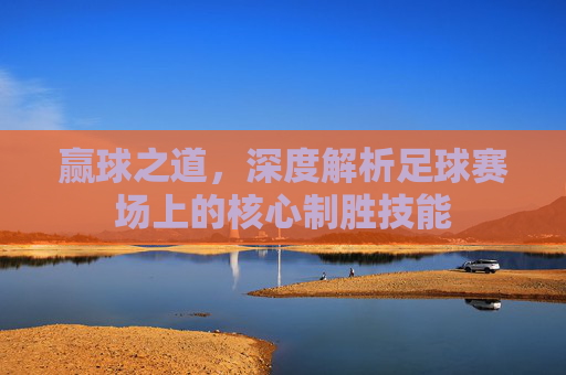 赢球之道,深度解析足球赛场上的核心制胜技能