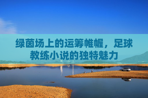 绿茵场上的运筹帷幄,足球教练小说的独特魅力
