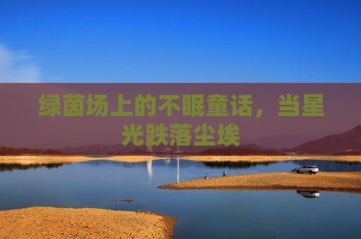 绿茵场上的不眠童话,当星光跌落尘埃