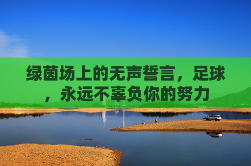绿茵场上的无声誓言，足球，永远不辜负你的努力