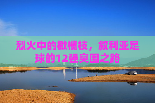 烈火中的橄榄枝,叙利亚足球的12强突围之路