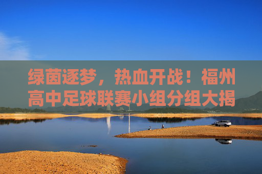 绿茵逐梦,热血开战!福州高中足球联赛小组分组大揭秘
