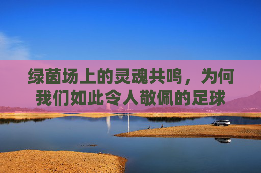 绿茵场上的灵魂共鸣,为何我们如此令人敬佩的足球