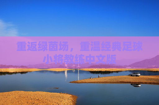 重返绿茵场,重温经典足球小将教练中文版