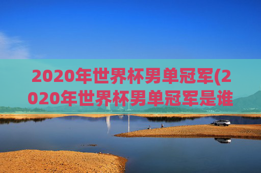 2020年世界杯男单冠军(2020年世界杯男单冠军是谁)