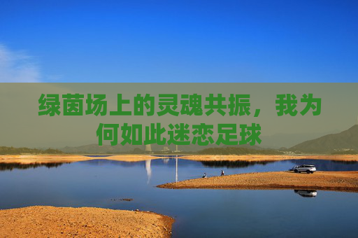 绿茵场上的灵魂共振,我为何如此迷恋足球