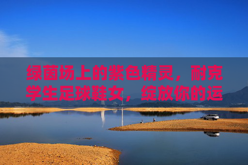 绿茵场上的紫色精灵，耐克学生足球鞋女，绽放你的运动光芒