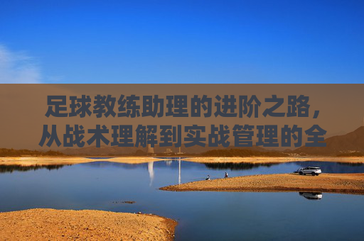 足球教练助理的进阶之路,从战术理解到实战管理的全方位训练