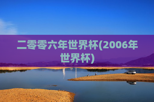二零零六年世界杯(2006年世界杯)