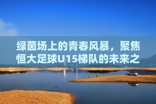 绿茵场上的青春风暴,聚焦恒大足球U15梯队的未来之路